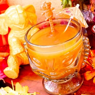 Apple Cider Punch #1